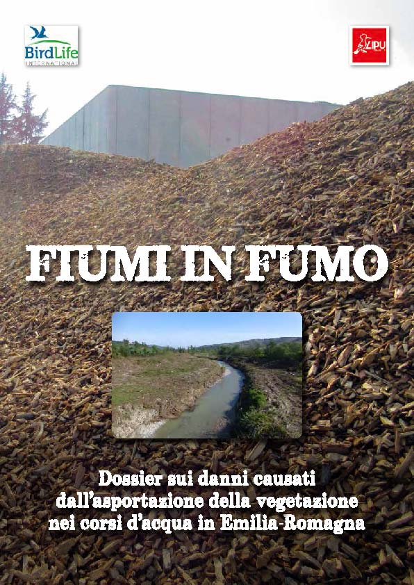 copertinaLIPUfiumiinfumo