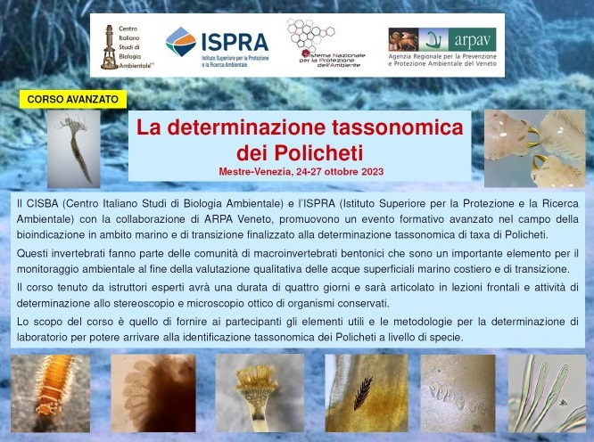 policheti