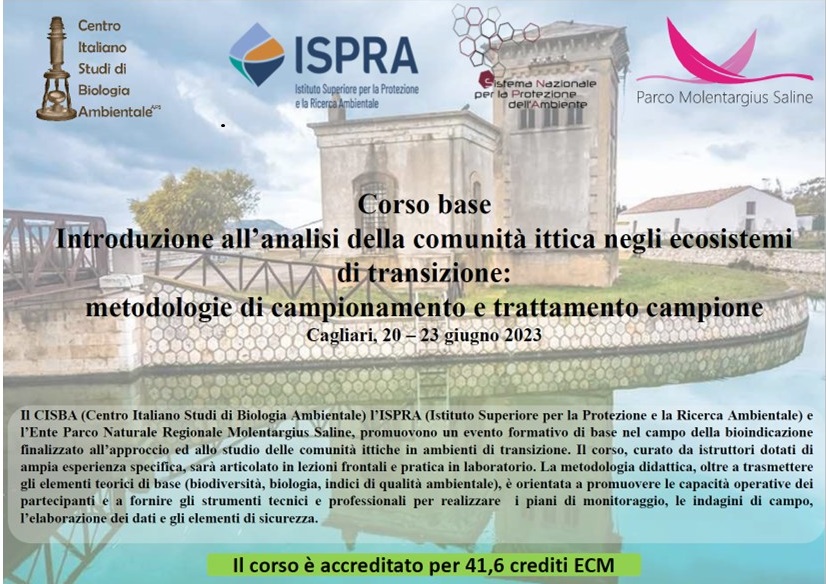 corso transizione