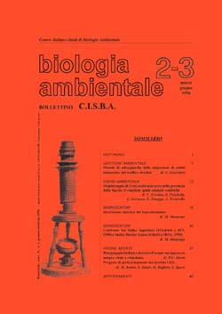 Icona Ba 1996 2e3