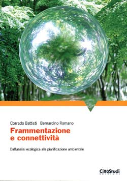 frammentazione