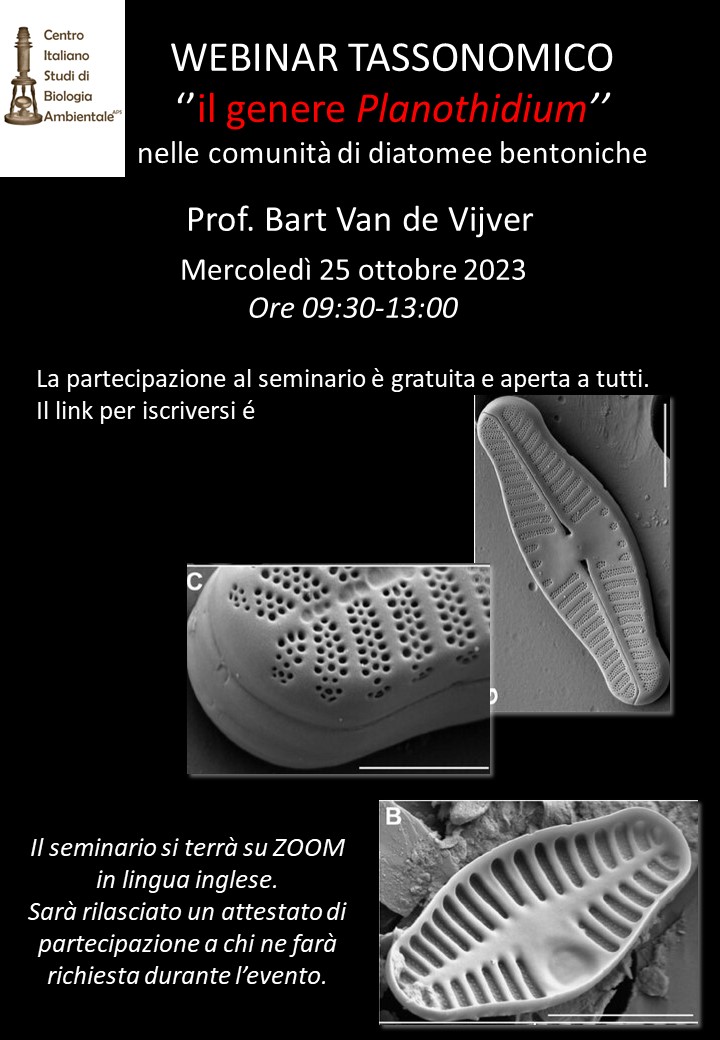 workshop planothidium